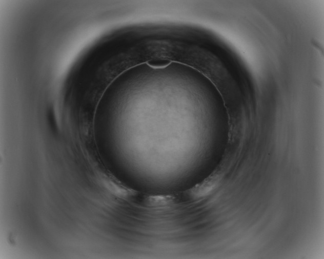 X0000097650239200803071516