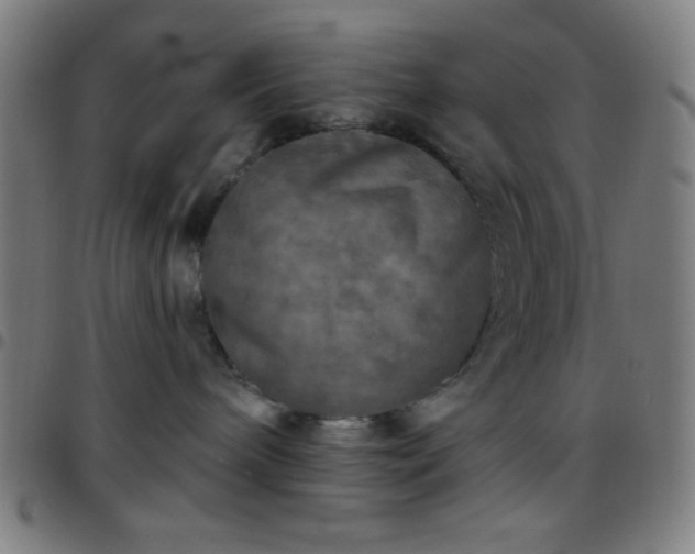 X0000097650240200803071516