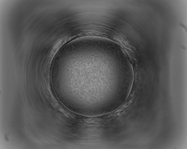 X0000097650241200803071516