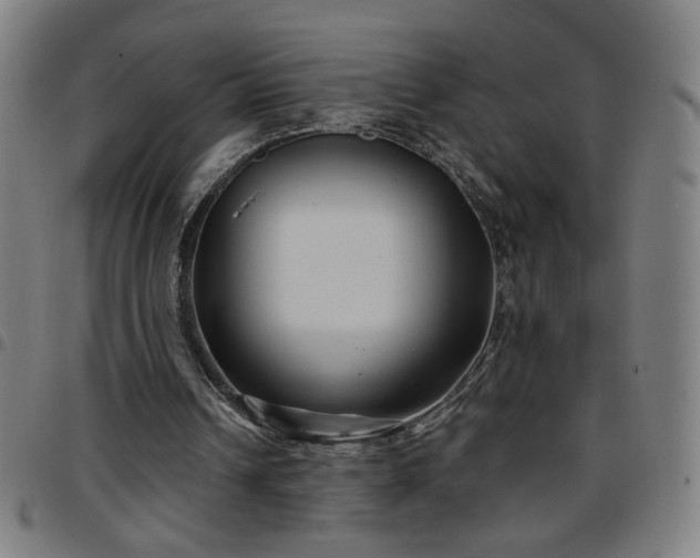 X0000097650242200803071516