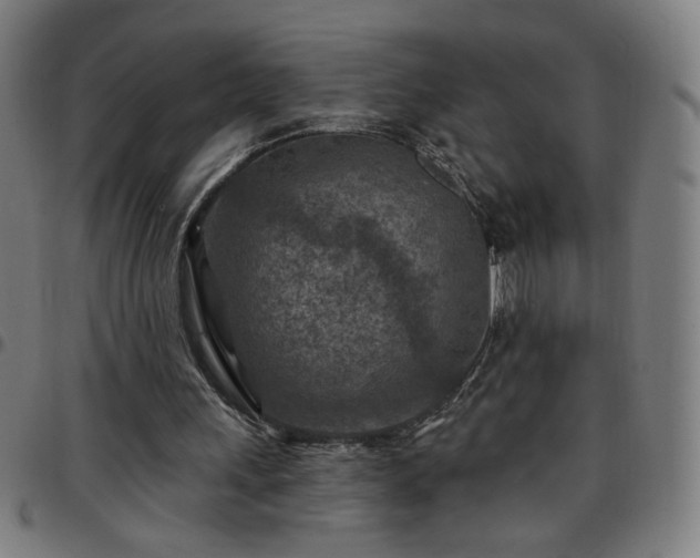 X0000097650243200803071516