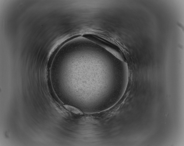 X0000097650244200803071516