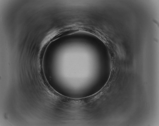 X0000097650245200803071516