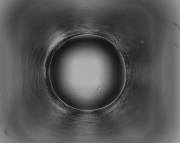 X0000097650246200803071516