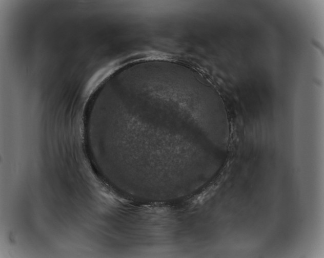 X0000097650247200803071516