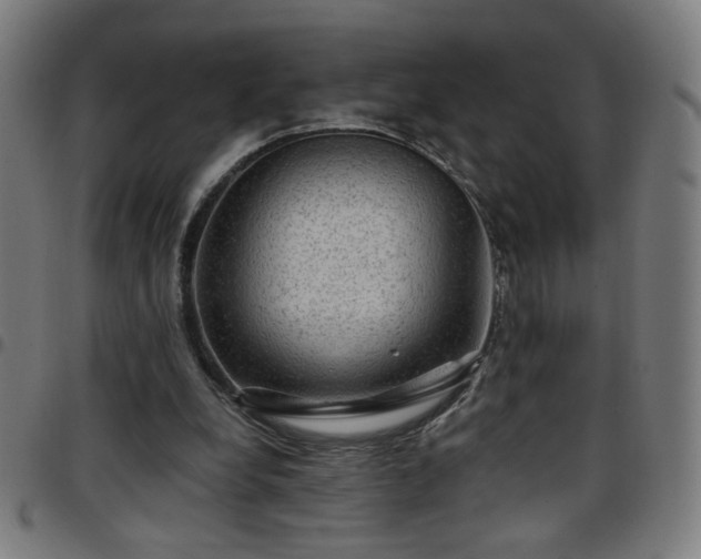 X0000097650248200803071516