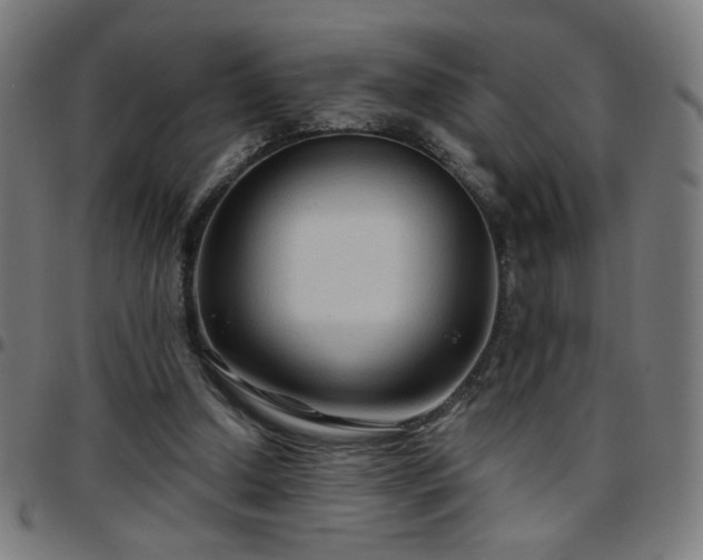 X0000097650250200803071516