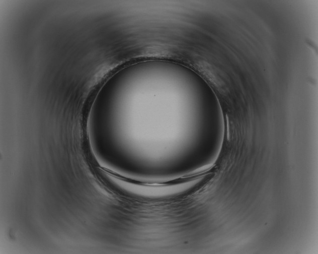 X0000097650252200803071516