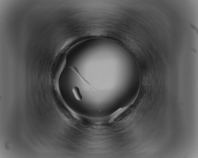 X0000097650256200803071516