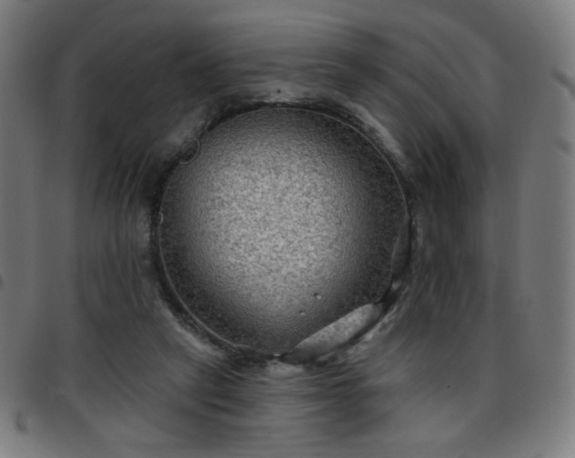 X0000097650257200803071516