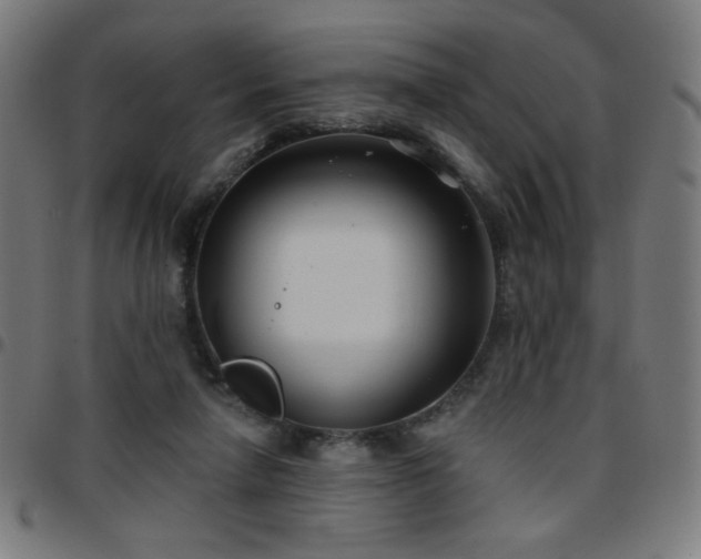 X0000097650258200803071516