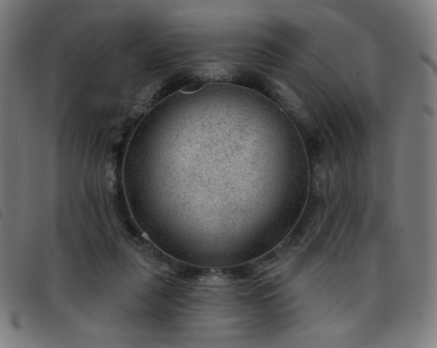 X0000097650259200803071516