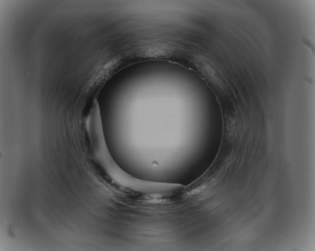 X0000097650260200803071516