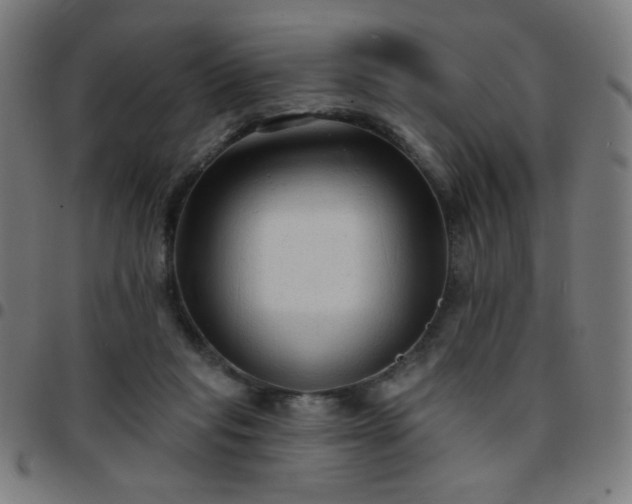 X0000097650261200803071516