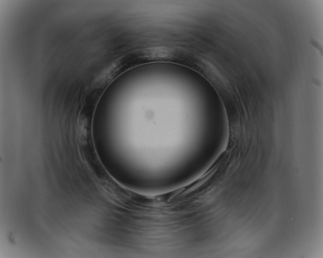 X0000097650264200803071516