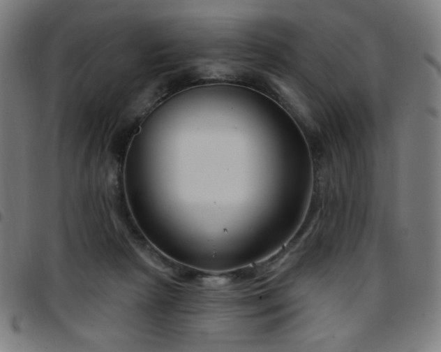 X0000097650265200803071516