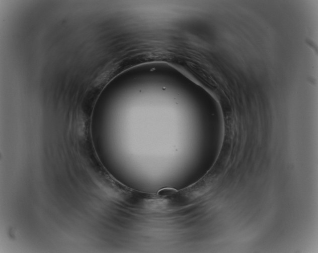 X0000097650266200803071516