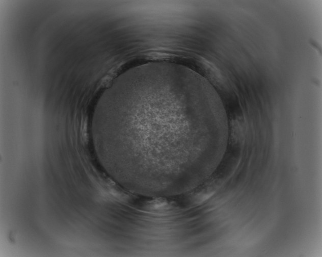 X0000097650267200803071516