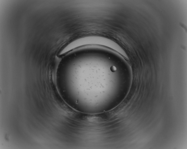 X0000097650268200803071516