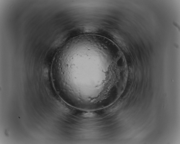 X0000097650269200803071516