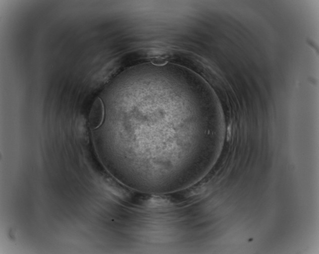 X0000097650270200803071516