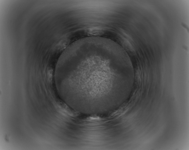 X0000097650271200803071516