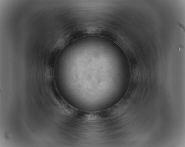 X0000097650272200803071516