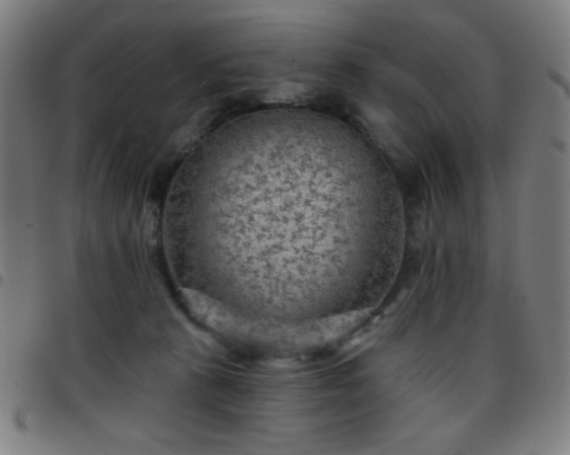 X0000097650273200803071516