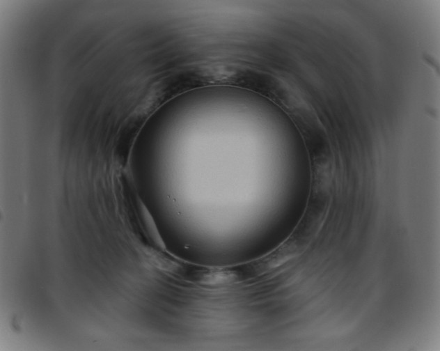 X0000097650274200803071516