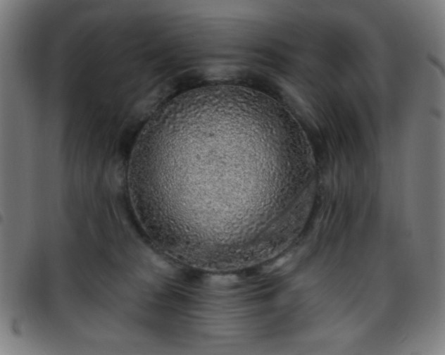 X0000097650277200803071516