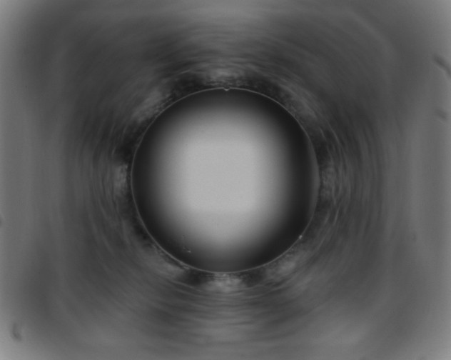 X0000097650278200803071516