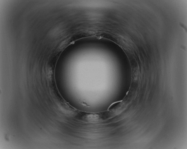 X0000097650279200803071516