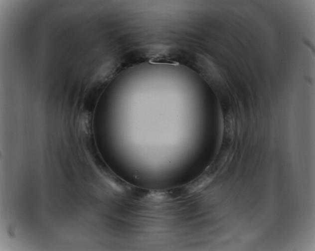 X0000097650280200803071516