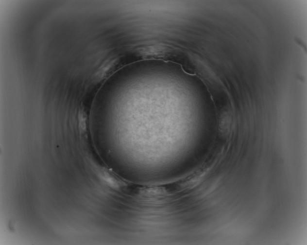 X0000097650282200803071516