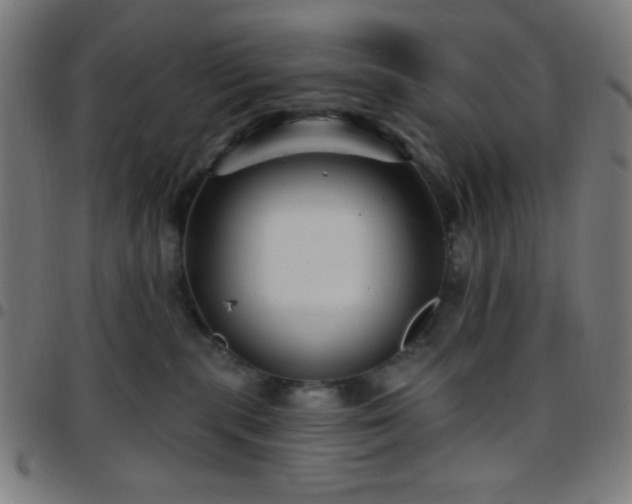 X0000097650283200803071516