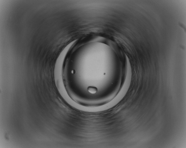 X0000097650284200803071516