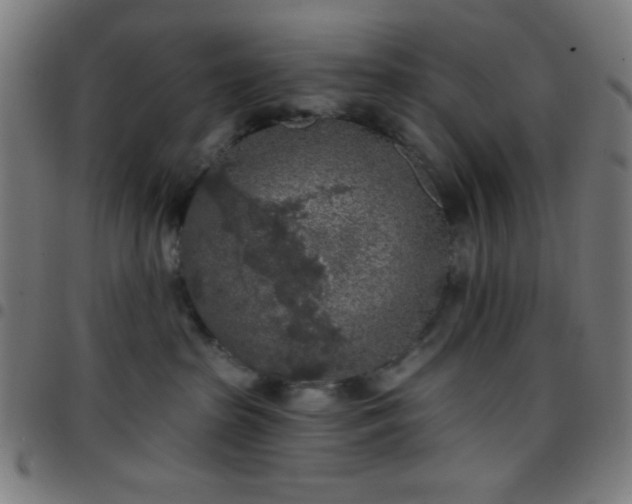 X0000097650285200803071516