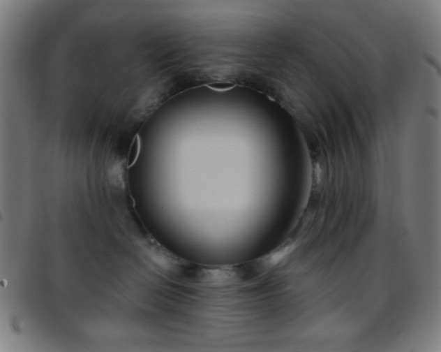 X0000097650286200803071516