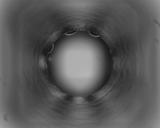 X0000097650287200803071516