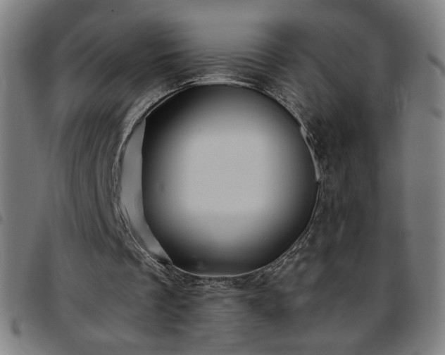 X0000097650289200803071516