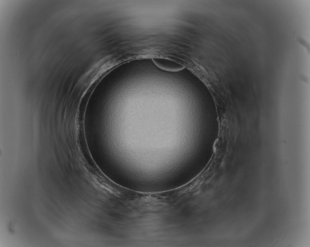 X0000097650290200803071516