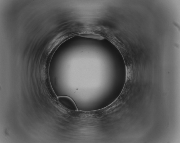 X0000097650291200803071516