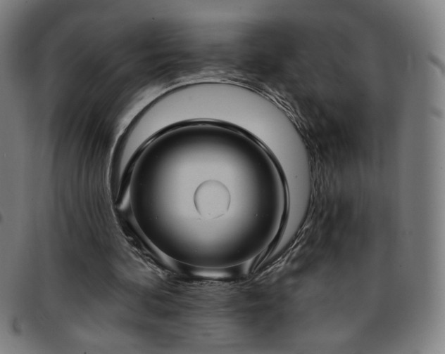 X0000097650292200803071516