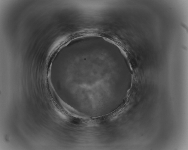 X0000097650293200803071516