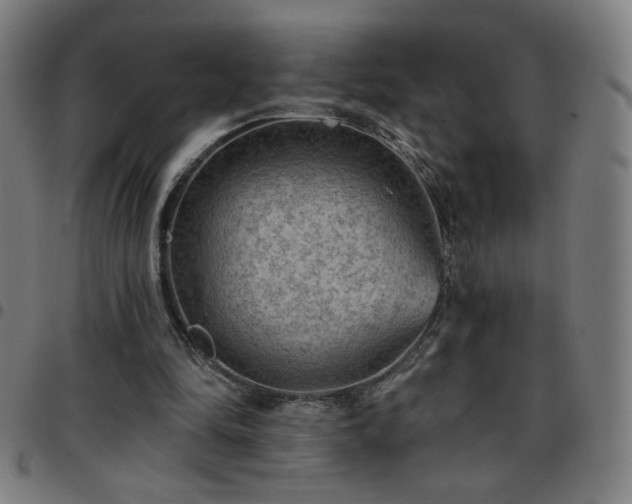 X0000097650294200803071516