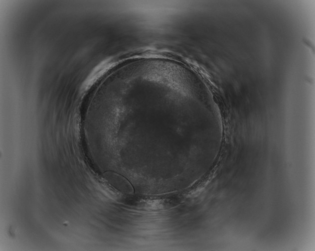 X0000097650295200803071516