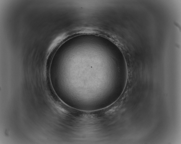 X0000097650296200803071515