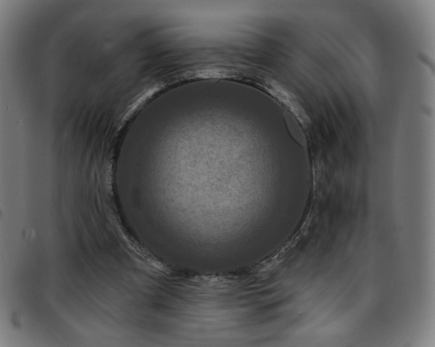 X0000097650297200803071515