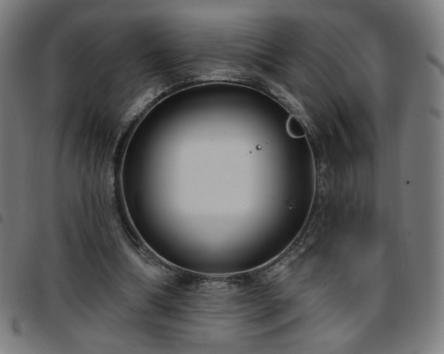 X0000097650298200803071515