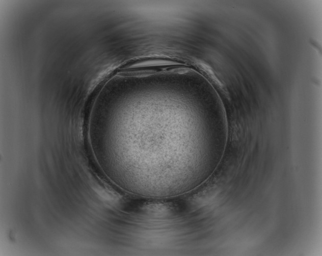 X0000097650299200803071515